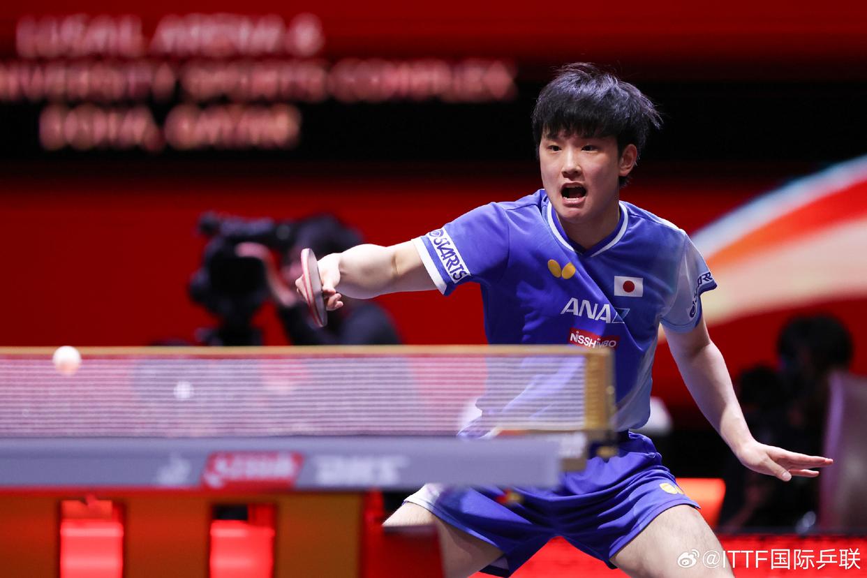 瑞典队力克波兰队，张本智和高光表现的简单介绍